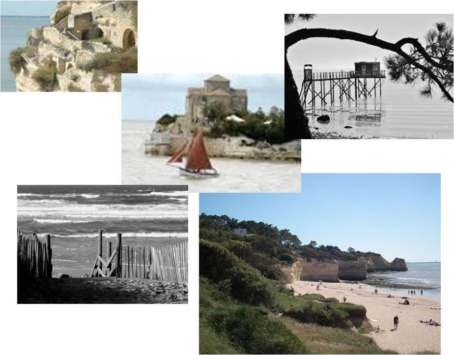 Chambre D'Hotes Le Berceau Meschers-sur-Gironde Εξωτερικό φωτογραφία